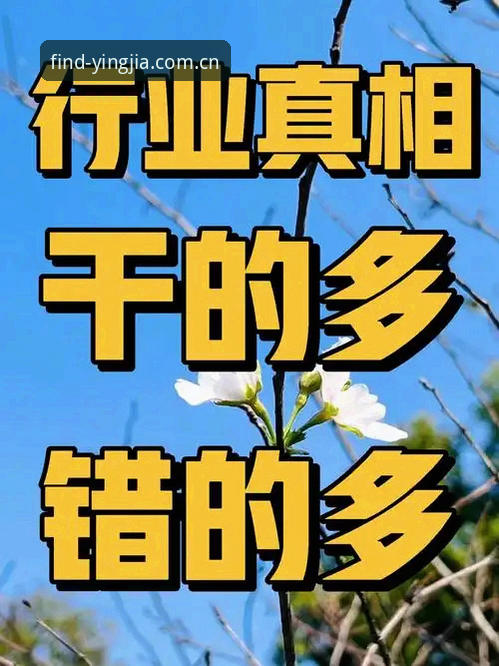 深度揭秘：盈嘉体育正版渠道背后的安全逻辑与行业真相